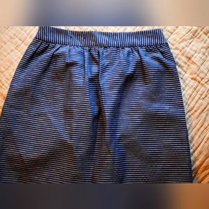 Banana Republic Skirt
